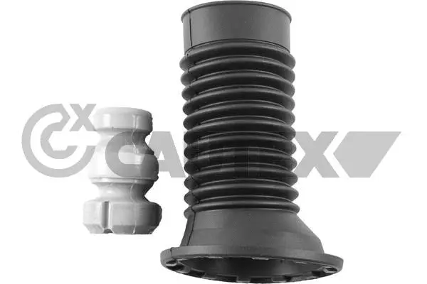 Dust Cover Kit, shock absorber (766468)