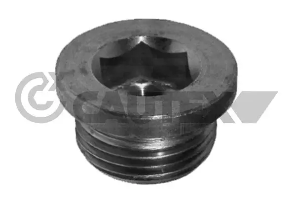 Screw Plug, oil sump (952005)