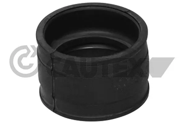 Charge Air Hose (751968)