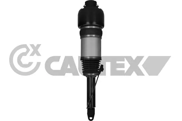 Air Suspension Strut (752145)