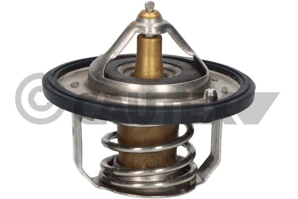 Thermostat, coolant (756878)