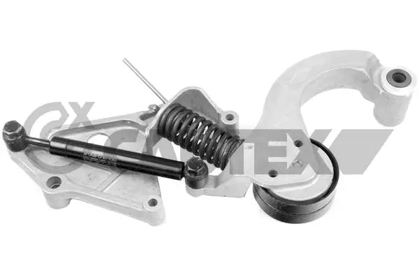 Repair Kit, v-ribbed belt tensioner (769709)