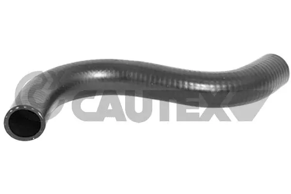 Radiator Hose (086025)