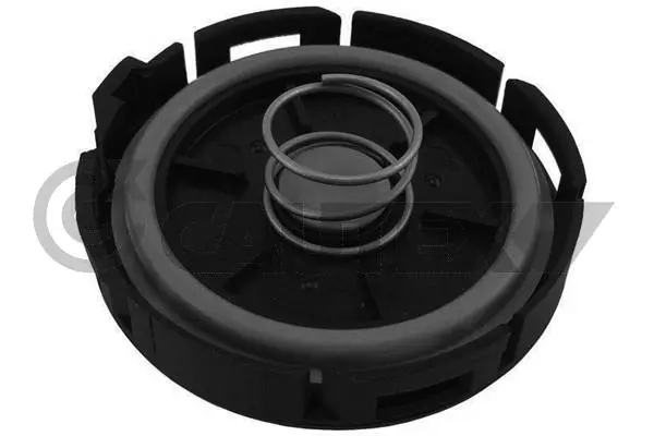 Membrane, crankcase ventilation (765038)