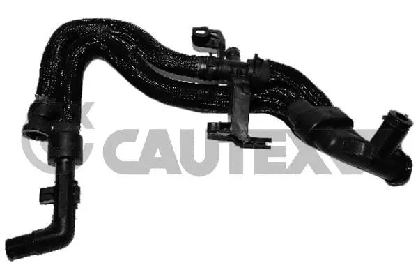 Radiator Hose (036776)