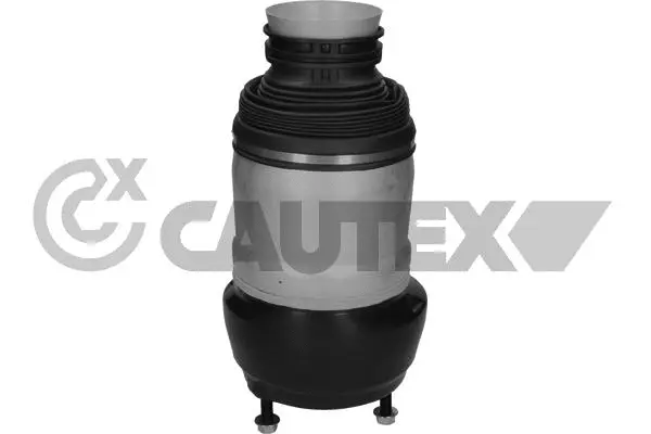 Air Spring, suspension (752982)