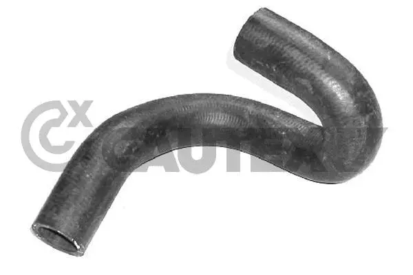 Radiator Hose (021126)