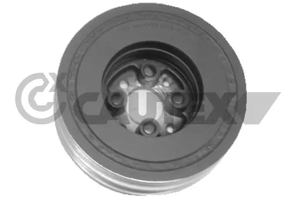 Belt Pulley, crankshaft (460955)