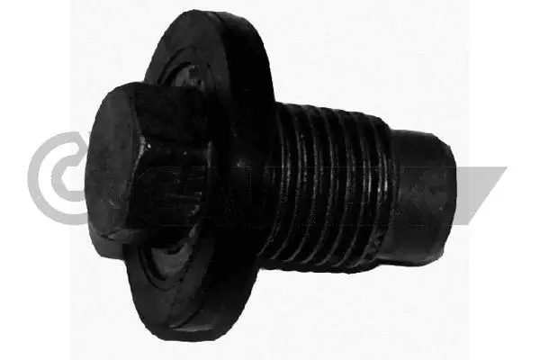 Screw Plug, oil sump (200943)