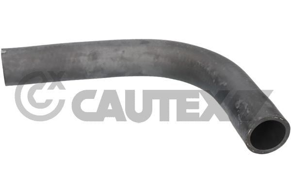 Radiator Hose (026422)