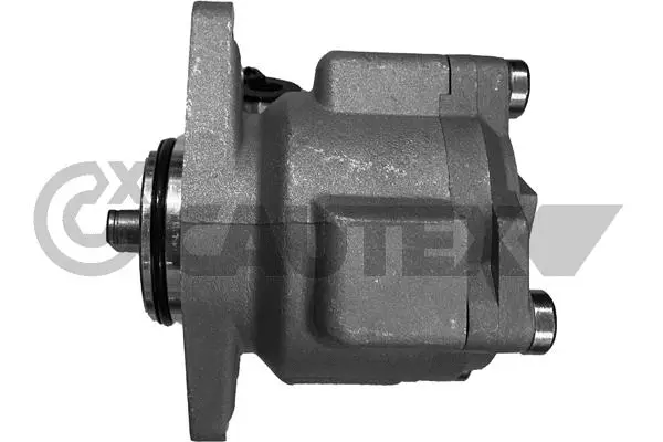 Hydraulic Pump, steering (768325)