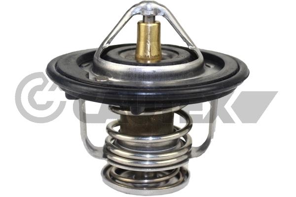 Thermostat, coolant (772167)