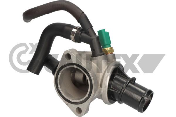 Thermostat, coolant (750789)