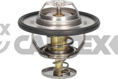 Thermostat, coolant (758306)
