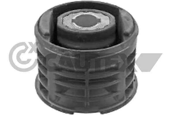 Bushing, axle beam (750701)