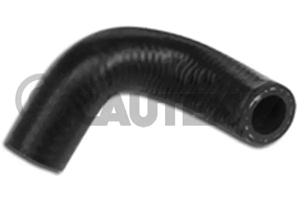 Radiator Hose (011364)