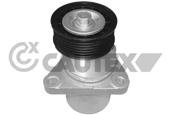Repair Kit, v-ribbed belt tensioner (770253)