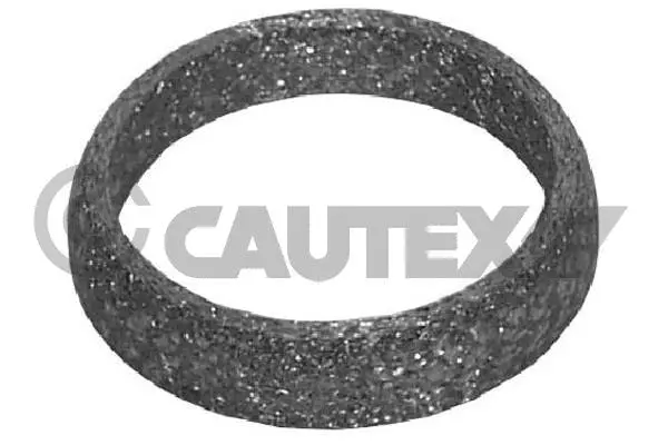Seal Ring, exhaust pipe (954202)
