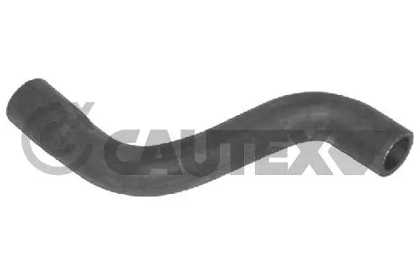Radiator Hose (031135)