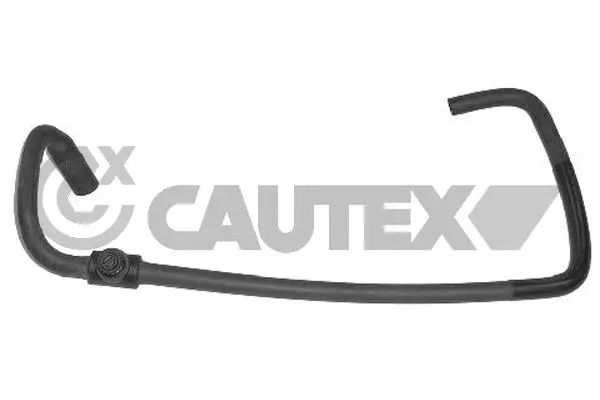 Radiator Hose (036356)