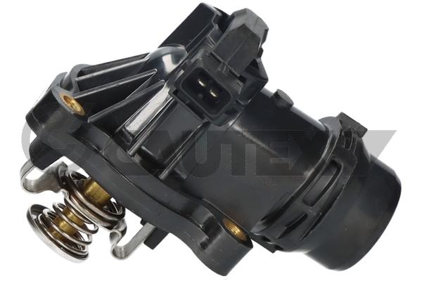 Thermostat, coolant (756702)