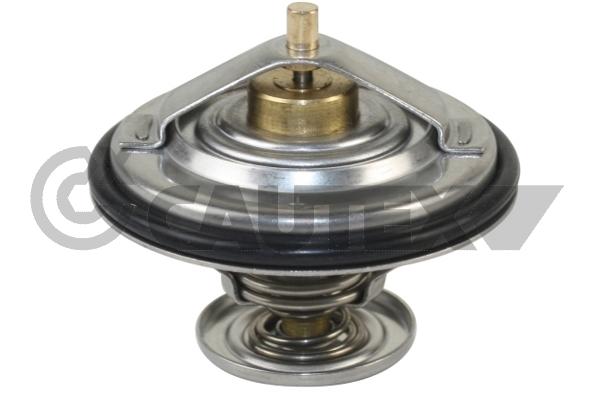 Thermostat, coolant (772131)