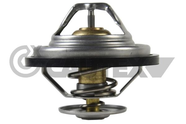 Thermostat, coolant (772133)