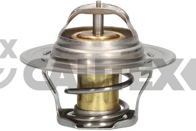 Thermostat, coolant (772121)