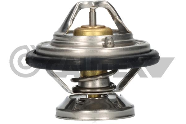 Thermostat, coolant (758314)