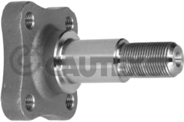 Kingpin, axle beam (752361)