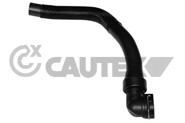 Radiator Hose (011319)