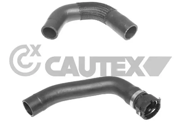 Radiator Hose (770174)