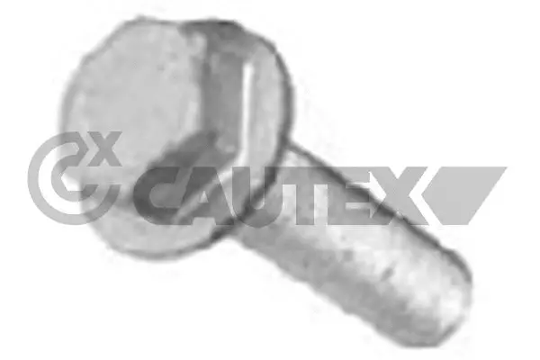 Pulley Bolt (757038)