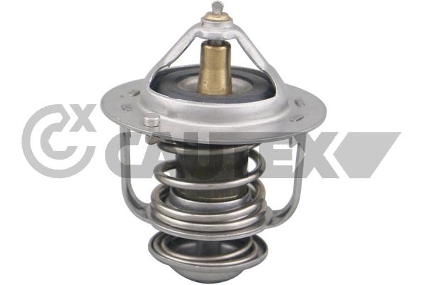 Thermostat, coolant (756898)