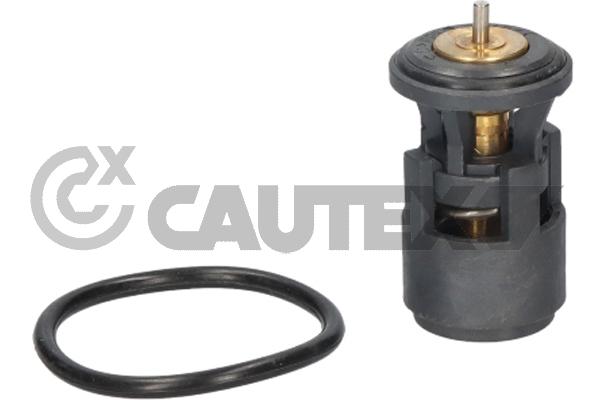 Thermostat, coolant (766541)