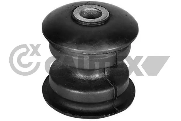 Bush, spring eye (755658)