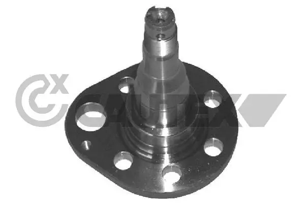 Wheel Hub (461007)