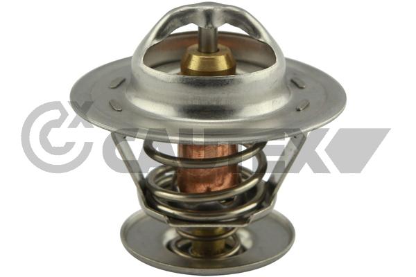 Thermostat, coolant (756908)