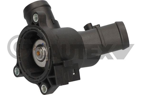 Thermostat, coolant (772166)