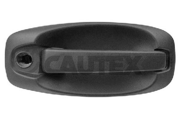 Exterior Door Handle (767748)