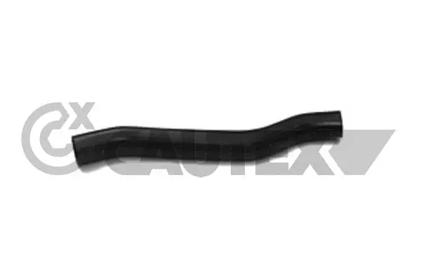 Radiator Hose (036029)