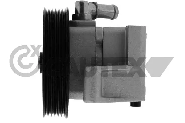 Hydraulic Pump, steering (768496)