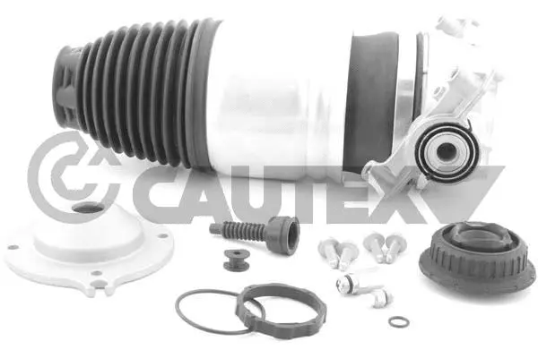 Air Spring, suspension (753042)