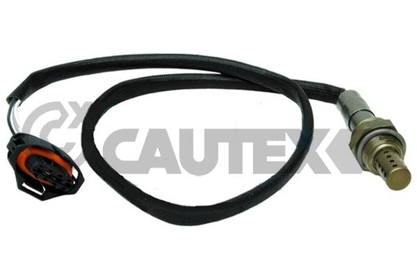 Lambda Sensor (755118)