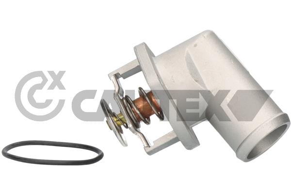 Thermostat, coolant (750801)