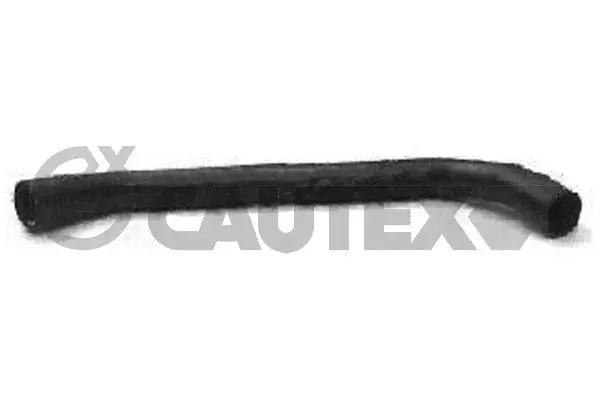 Radiator Hose (016343)