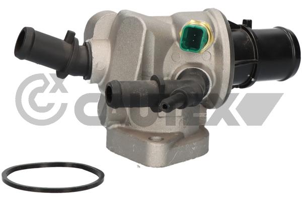 Thermostat, coolant (750787)