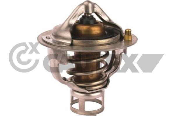 Thermostat, coolant (756897)
