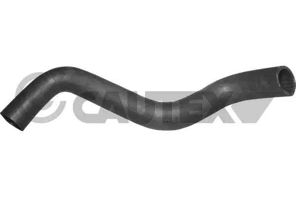 Radiator Hose (036092)