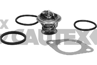 Thermostat, coolant (770187)